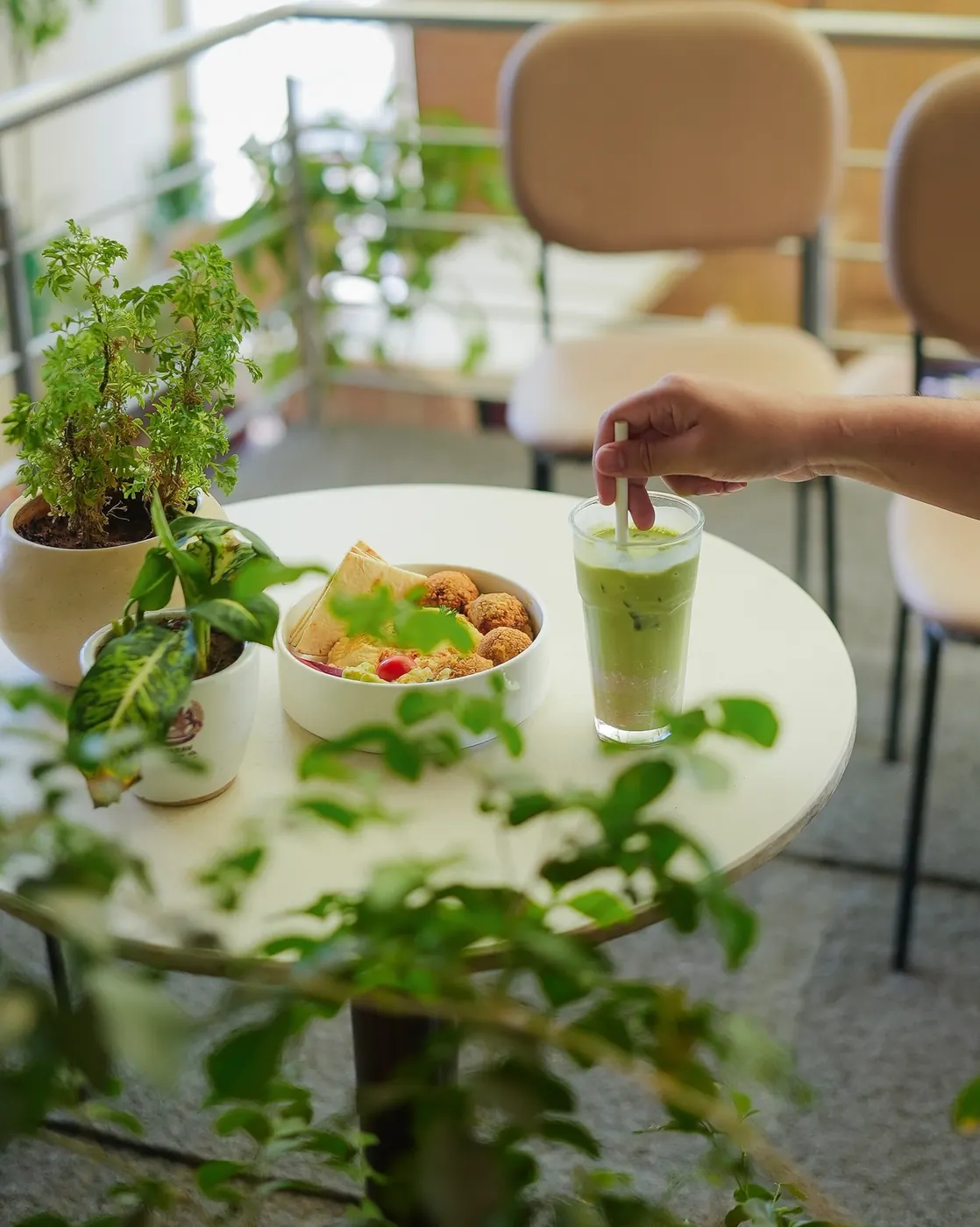 Plates and drinks on a table surrounded by plants